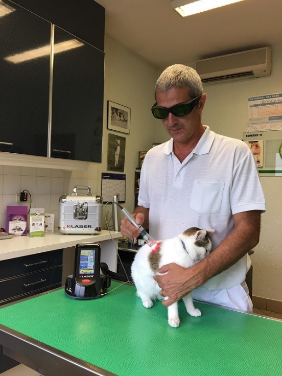 interview thérapie k-laser - dr alain bernad - clinique veterinaire du palais